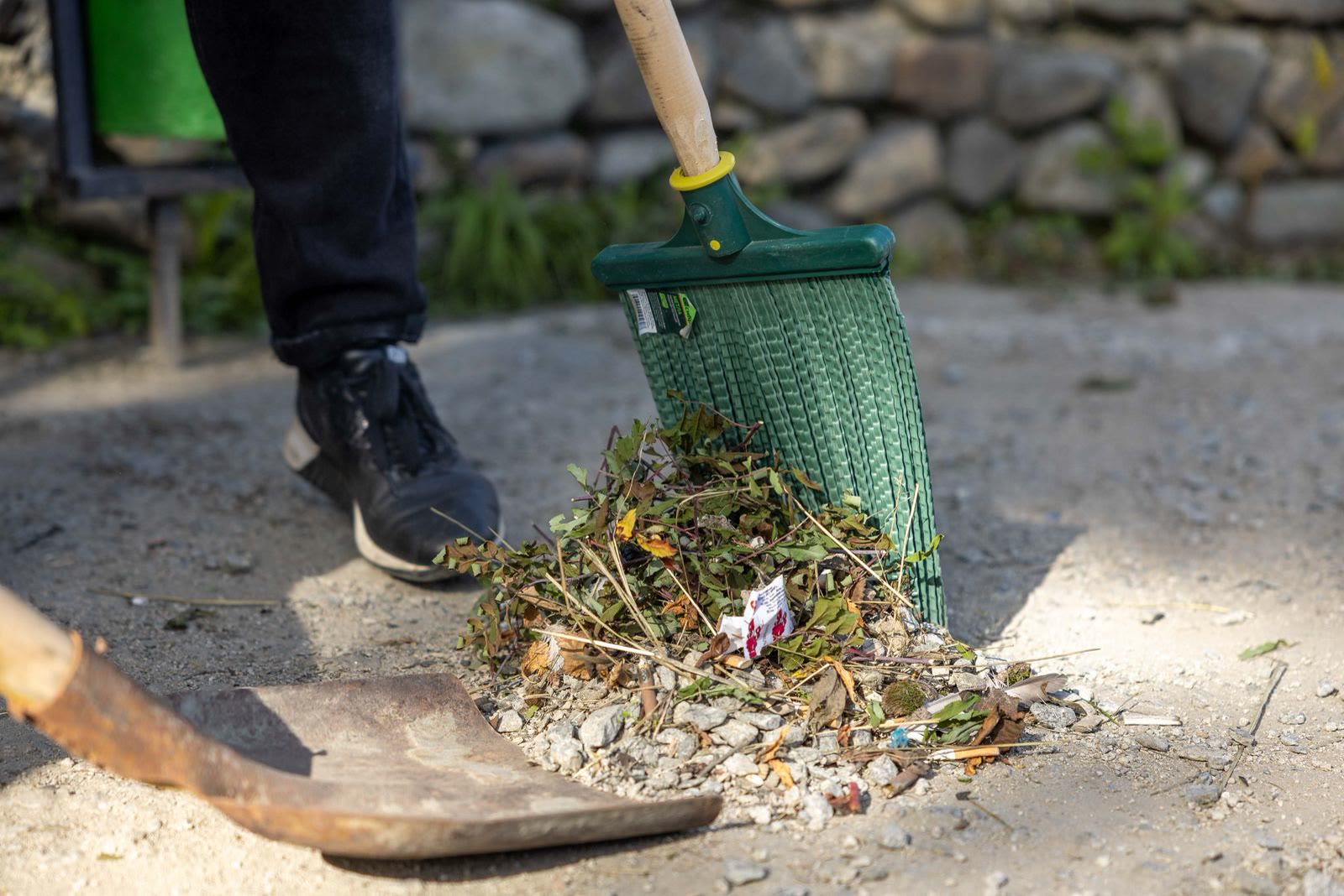 Yard by David&rsquo;s Cleanup Services in Stockton, California